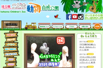 【志木】キリンやコアラ、ライオンも！子供も大喜びの志木近辺「動物園まとめ」