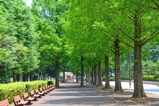 子供連れならアスレチックもある「朝霞中央公園」に行こう！