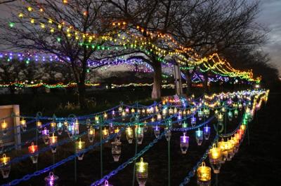 Asaka Illumiegion(イルミ―ジョン)もう見ましたか?絶賛点灯中!!