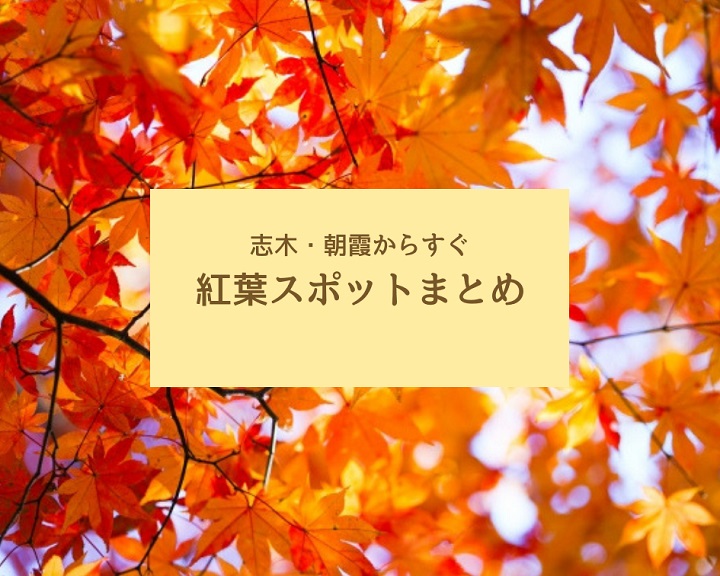 志木・朝霞周辺で楽しむ秋の紅葉！親子で行けるおすすめスポット5選
