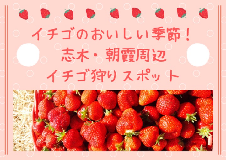 甘い香りに癒やされる！志木から行きやすいイチゴ狩り農園5選♪