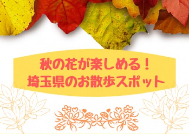 秋の花が楽しめる!埼玉県のお散歩スポット