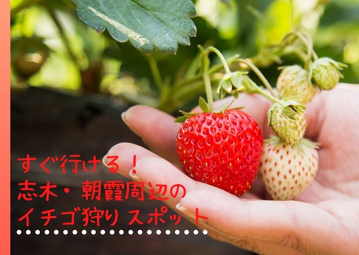 d42988625931523ba80a6f59bcc4eba9.jpg