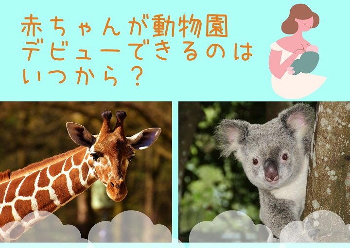 赤ちゃんが動物園デビューできるのはいつから？赤ちゃんも動物園を楽しめる？