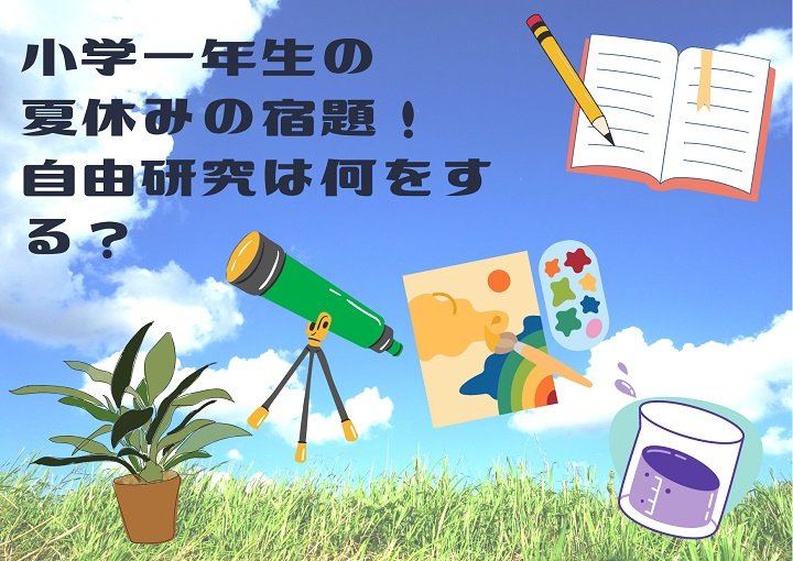 小学一年生の夏休みの宿題!自由研究は何をする?