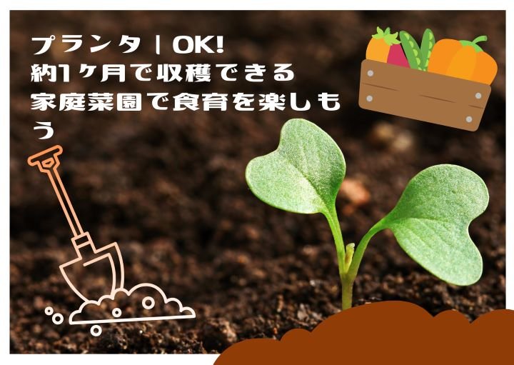 プランターでOK!約1ヶ月で収穫できる家庭菜園で食育を楽しもう