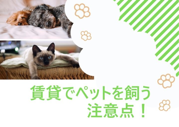 【トラブル防止！】賃貸でペットを飼うときに気をつけること！